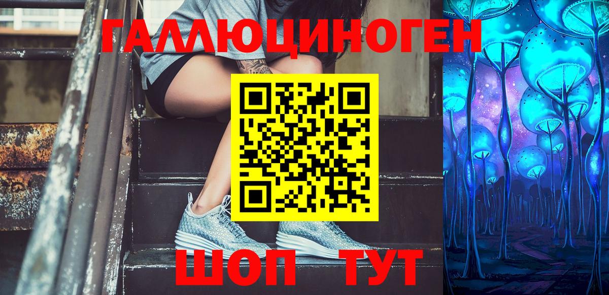 Псилоцибиновые грибы Psilocybine cubensis Благовещенск