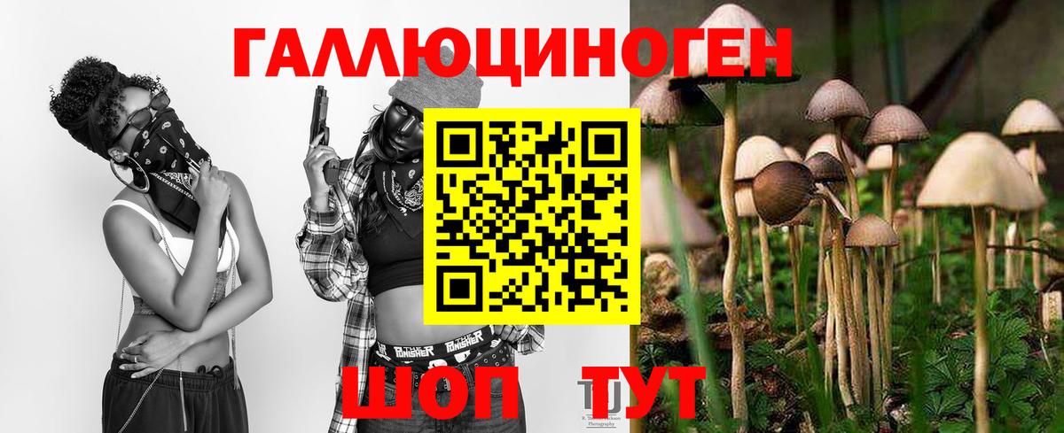 где найти наркотики  Псилоцибиновые грибы Cubensis  Вход с VPN  Благовещенск 